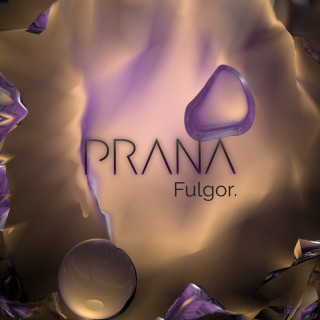 Prana_discos_ - Videos & Lyrics