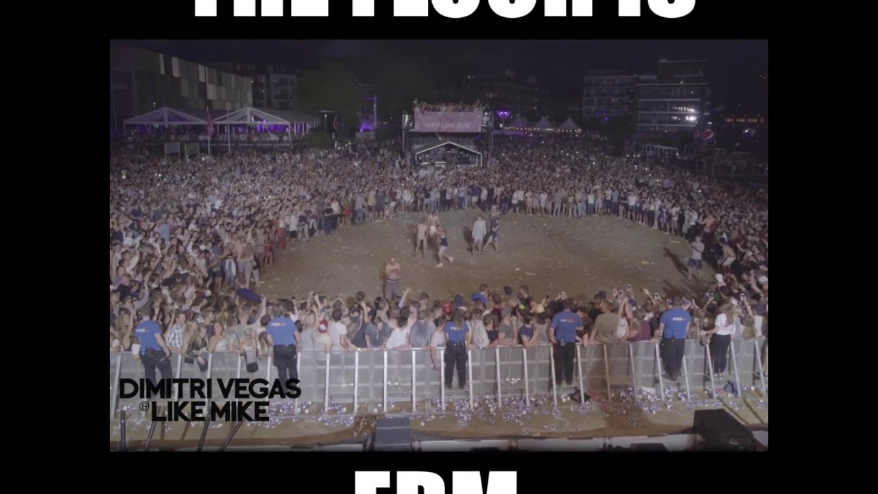 THE FLOOR IS EDM ( Dimitri Vegas & Like Mike )