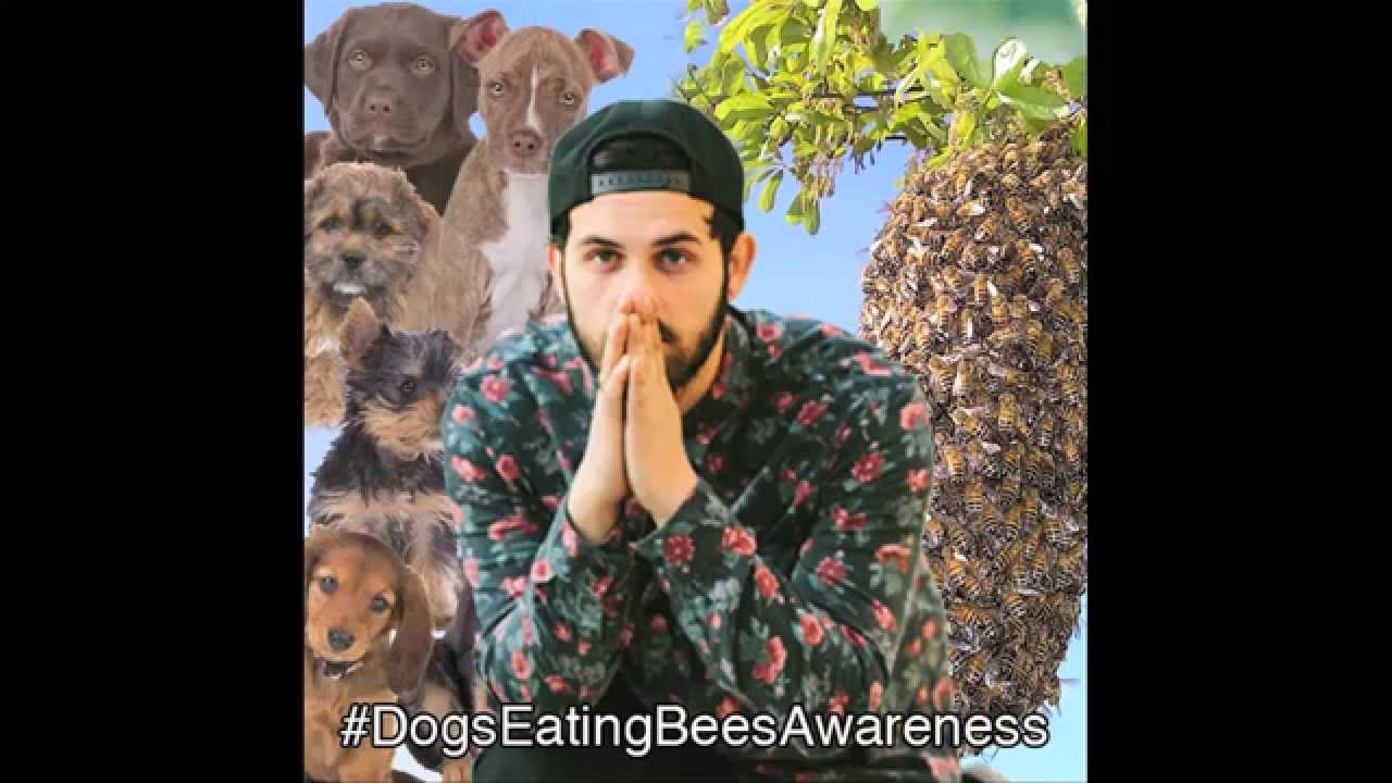 #DogsEatingBeesAwareness Day With Borgore