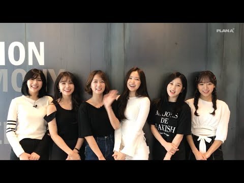 Apink Official Fan Club [PANDA] 5기 모집 영상