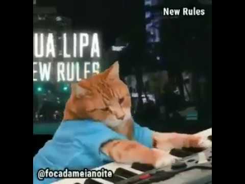 Animals Playing Instrumental of New Rules