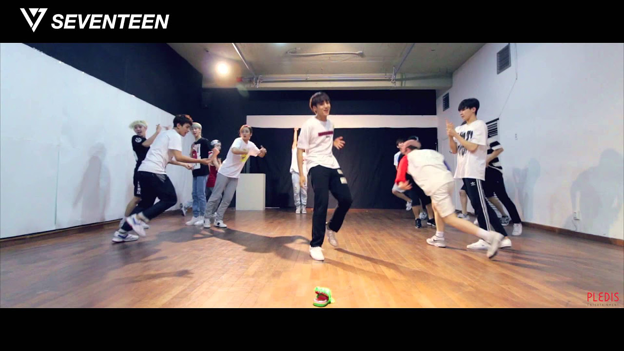 [Dance Practice] SEVENTEEN(세븐틴) - '아낀다(Adore U) - 'Fixed Cam' Ver.