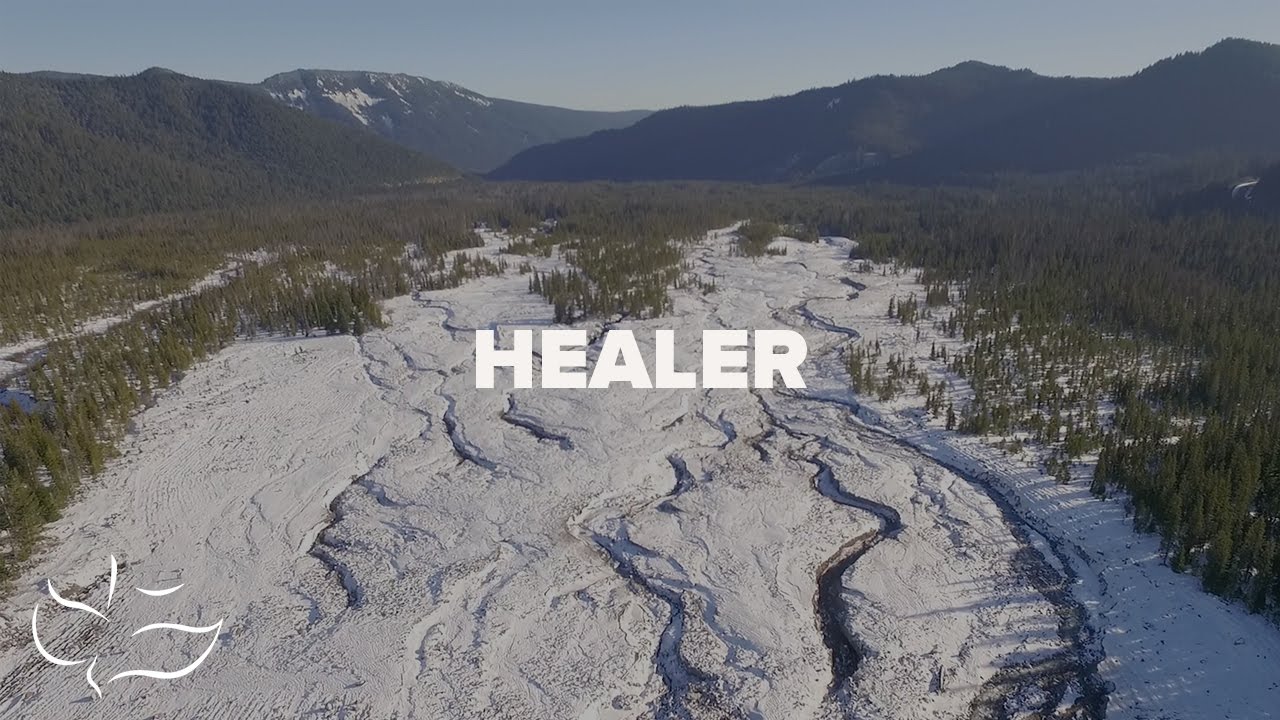 Healer | Maranatha! Music (Lyric Video)