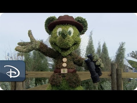 How Thirsty Topiaries Stay Hydrated | Epcot International Flower & Garden Festival