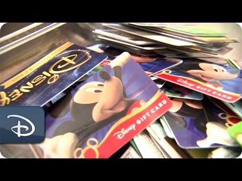 Every Role a Starring Role - Environmental Integration Representative | Disneyland Resort