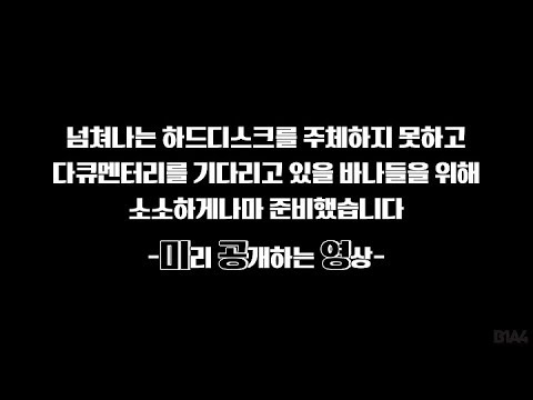[RealDocumentary] D+B1A4 Preview 2