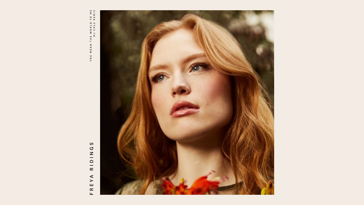 Freya Ridings - You Mean The World To Me (MJ Cole Remix) [Official Audio]