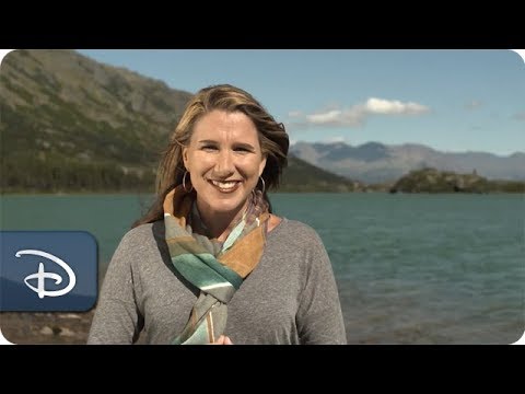 Adrenaline Pumping Alaskan Adventures With Disney Cruise Line