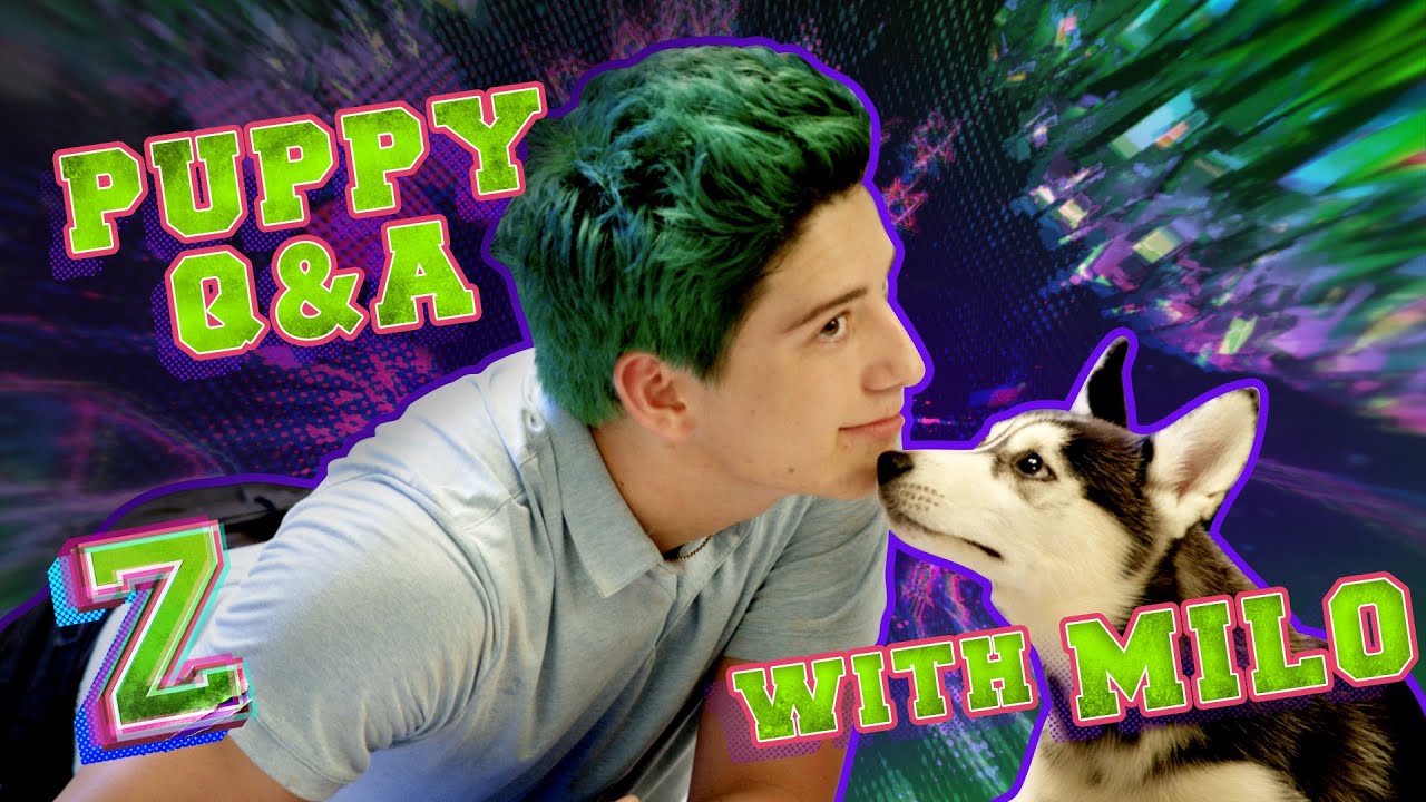 Milo Manheim Puppy Q&amp;A Challenge! ???? | ZOMBIES 2 | Disney Channel