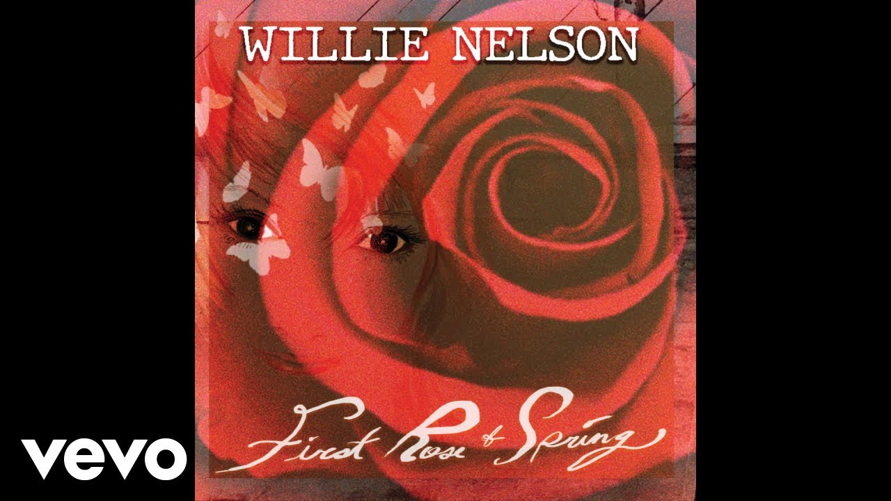 Willie Nelson - Our Song (Audio)
