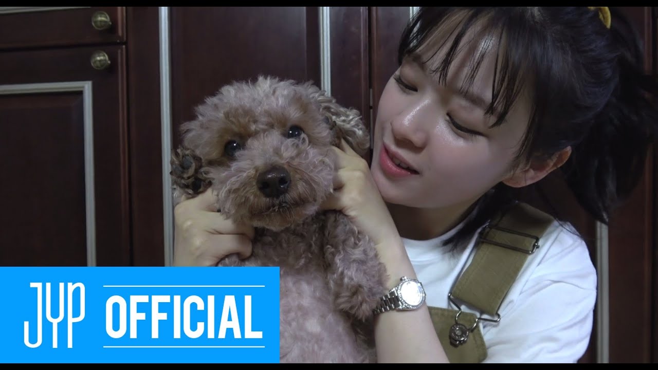 JEONGYEON TV "Cooking video of Doggy snack!" BEHIND SELF-CAM