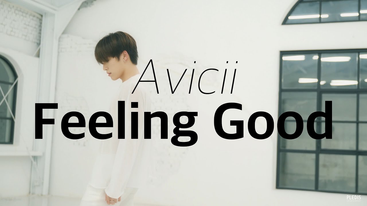 [DINO'S DANCEOLOGY] Avicii - Feeling Good