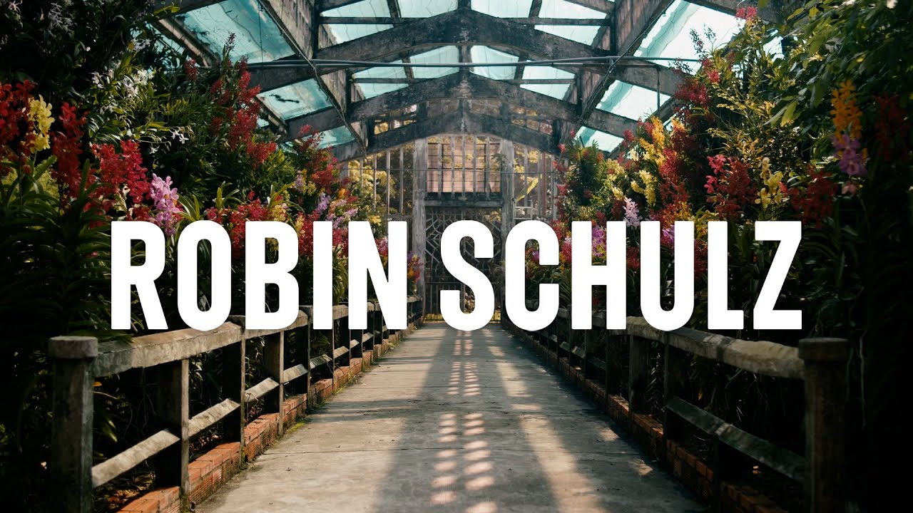 Robin Schulz & Wes - Alane (Official Lyric Video)