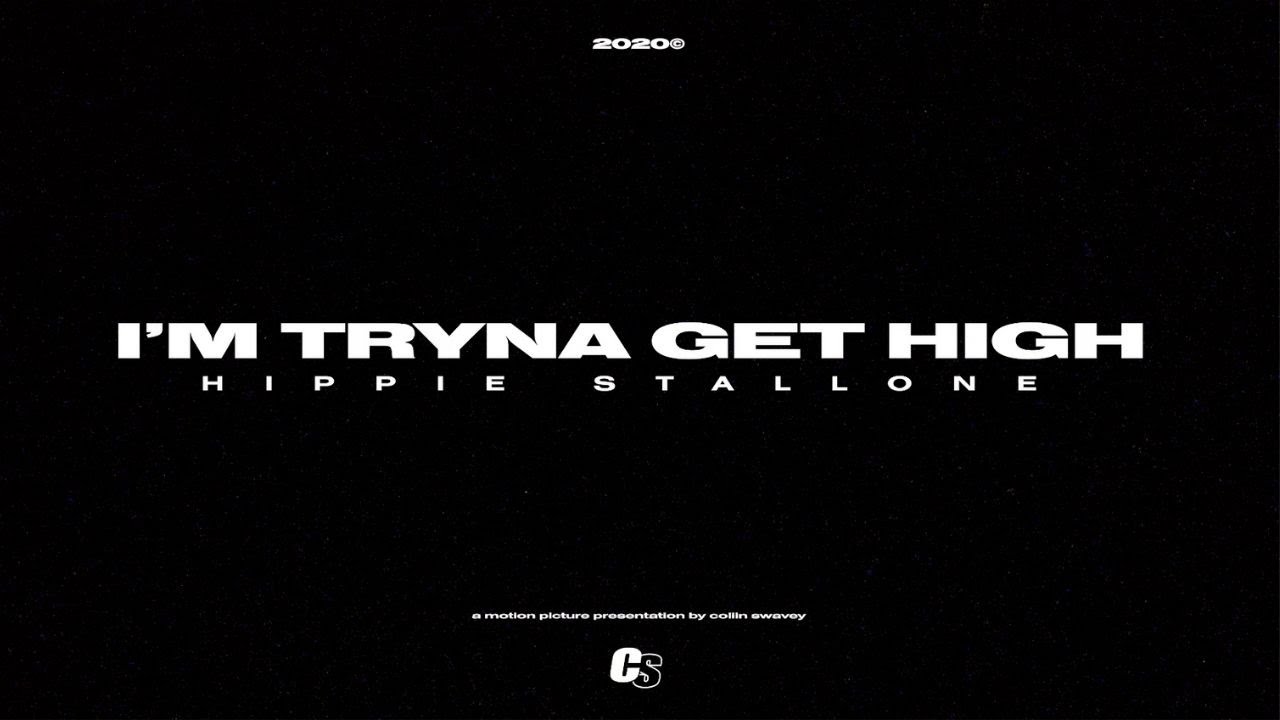 HIPPIE STALLONE -  I'm Tryna Get High [Official Music Video]
