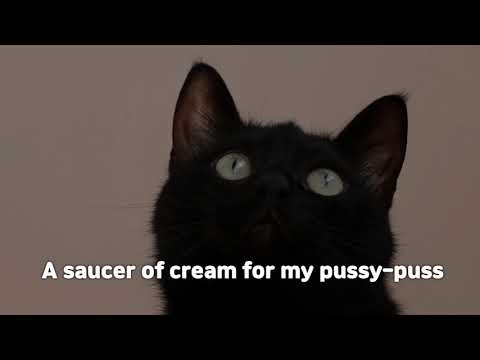 My Pussy Puss [Lyric Video] - Eric Barao
