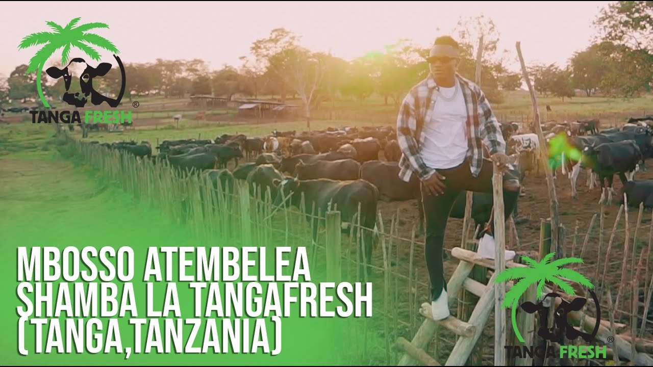 Mbosso Atembelea Shamba la Tangafresh (Tanga,Tanzania)
