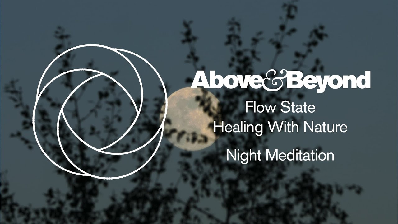 Above & Beyond - Flow State: Healing With Nature - Night Meditation (Four Hour Ambient Soundscape)