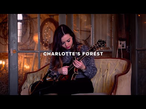 Sierra Hull - "Charlotte's Forest"