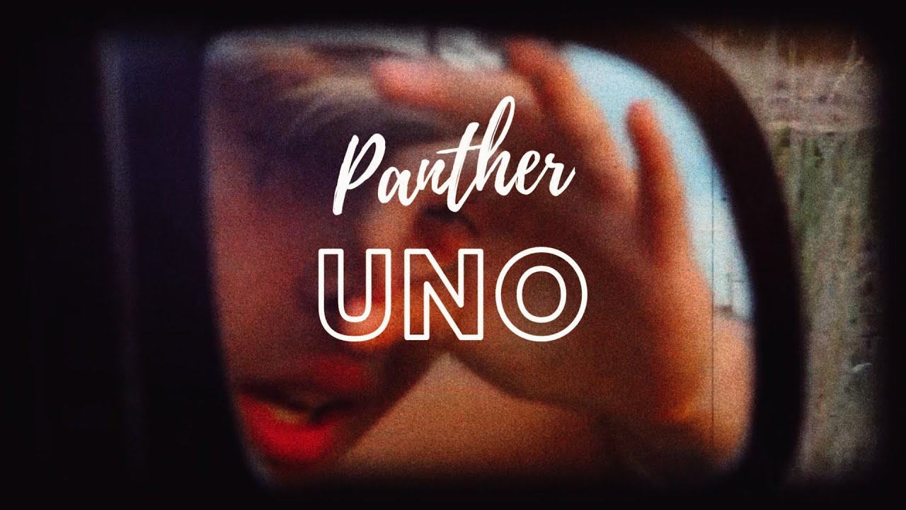 PANTHER - UNO (Prod.KKmigue)