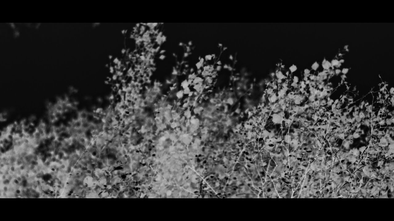 José González - The Void (Lyric Video)
