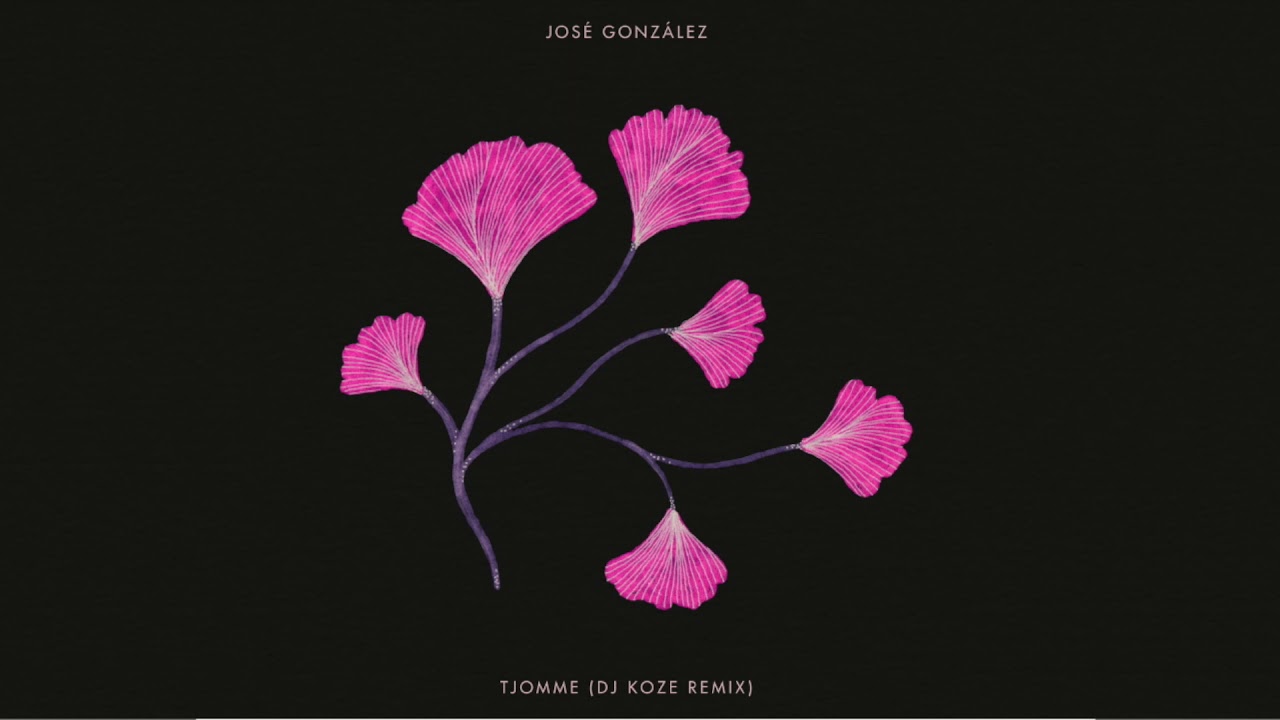 José González - Tjomme (DJ Koze Remix)
