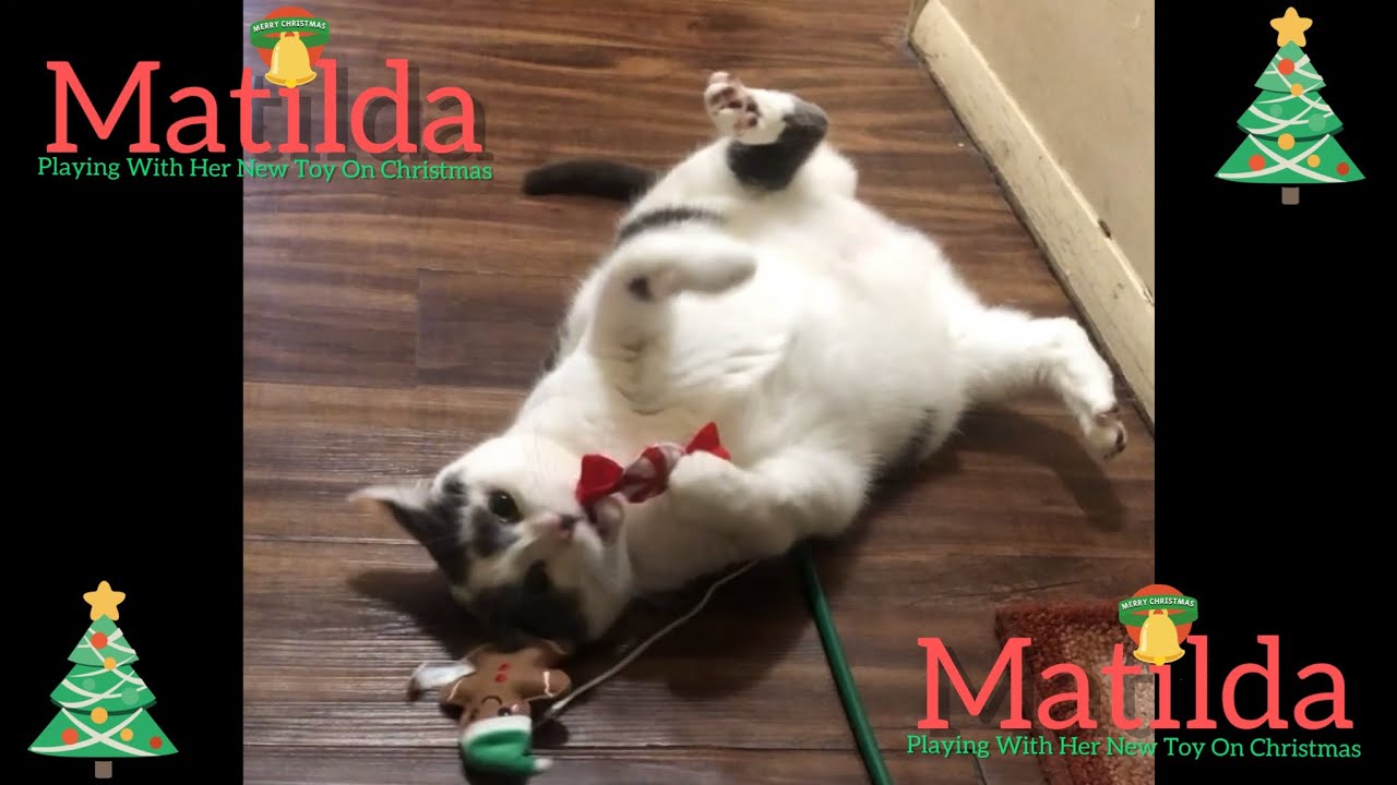 Matilda Playing With Her New Toy On Christmas
