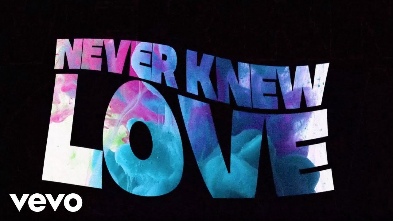 Charles Jenkins & Fellowship Chicago - Never Knew Love (Lyric Video)