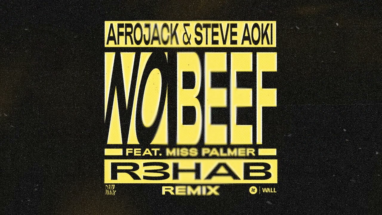 Afrojack x Steve Aoki x Miss Palmer - No Beef (R3HAB Remix)