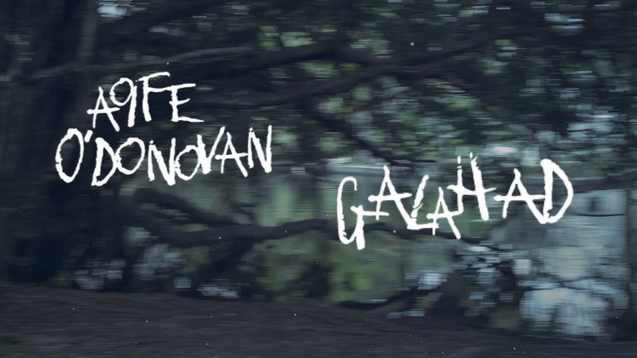 Aoife O'Donovan - "Galahad" [Official Audio + Lyrics]