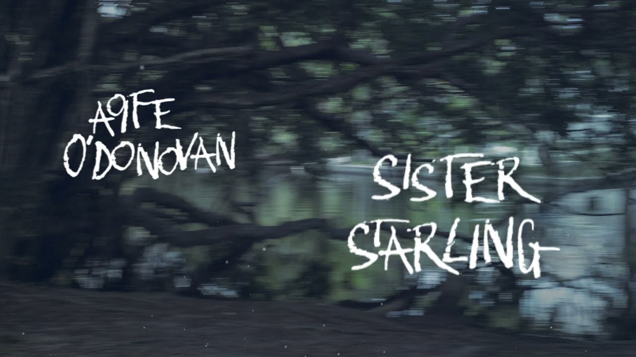 Aoife O'Donovan - "Sister Starling" [Official Audio + Lyrics]