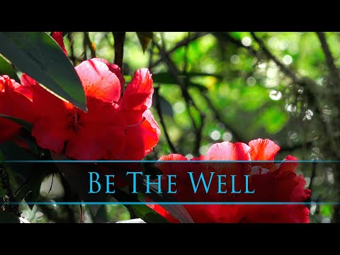 Be the Well from STILLNESS by Dean Evenson