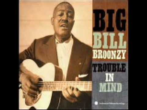 Big Bill Broonzy: Black, Brown and White