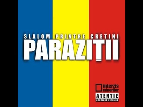 Parazitii - Something to say feat Raekwon (nr.26)