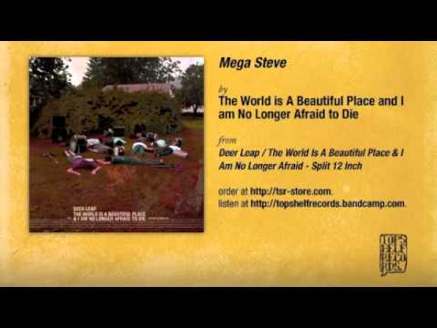 The World is A Beautiful Place - Mega Steve