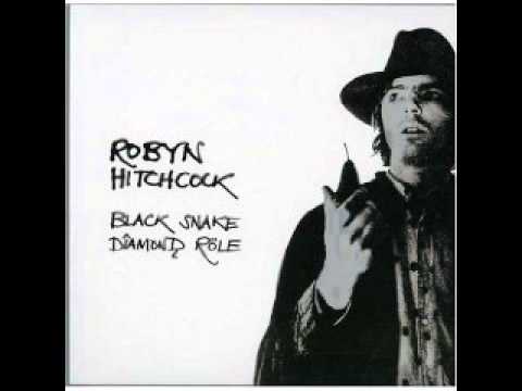 Robyn Hitchcock - The man who invented himself