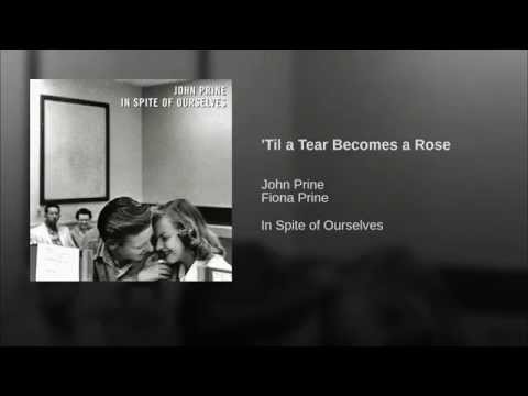 'Til a Tear Becomes a Rose