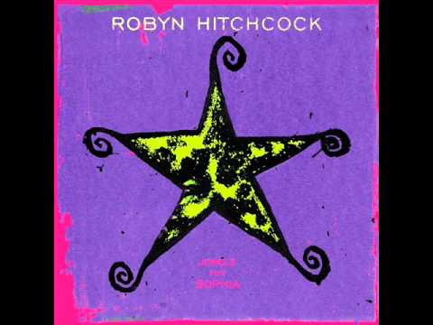 Robyn Hitchcock - You've got a sweet mouth on you baby