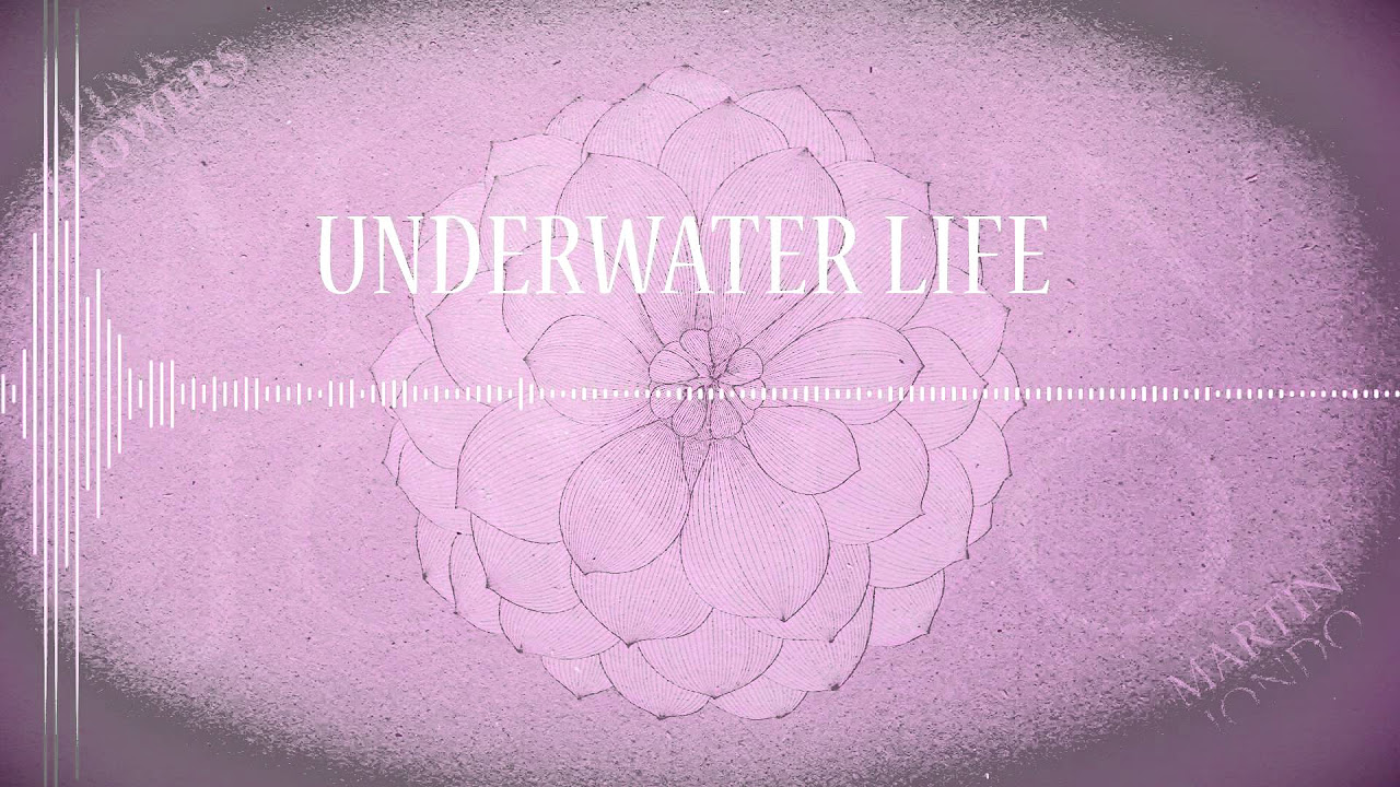 Martin Jondo - Underwater Life