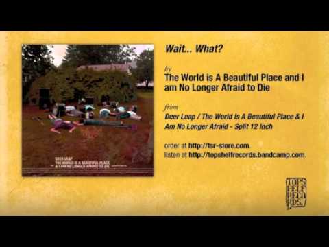 The World is A Beautiful Place - Wait... What?