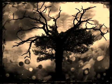 new model army - caslen (vocal)