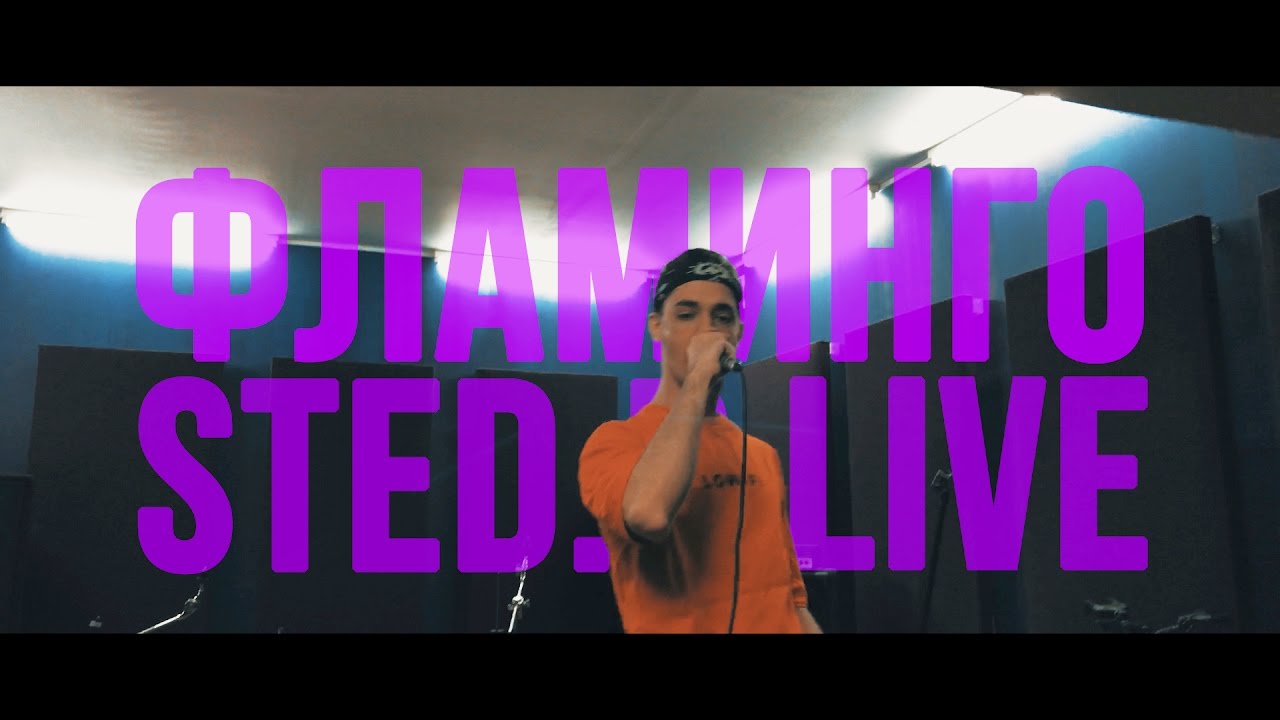 STED.D - ФЛАМИНГО (LIVE)