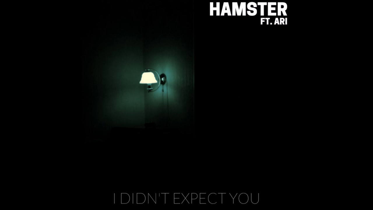 Hamster feat. X. Ari - I Didn't Expect You