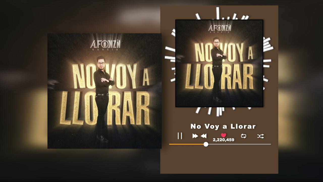 Alfonzin García "Dj Alfonzin" - No Voy a Llorar (Audio)