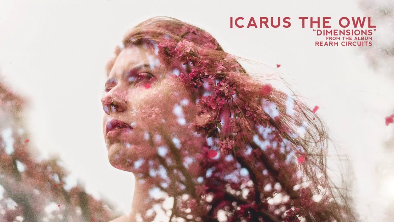 Icarus The Owl - Dimensions
