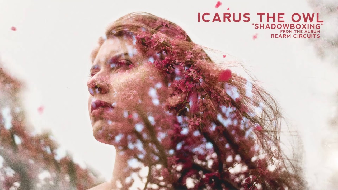 Icarus The Owl - Shadowboxing