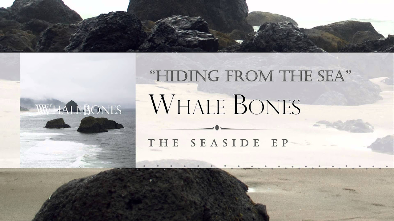 "Hiding From the Sea" - Whale Bones