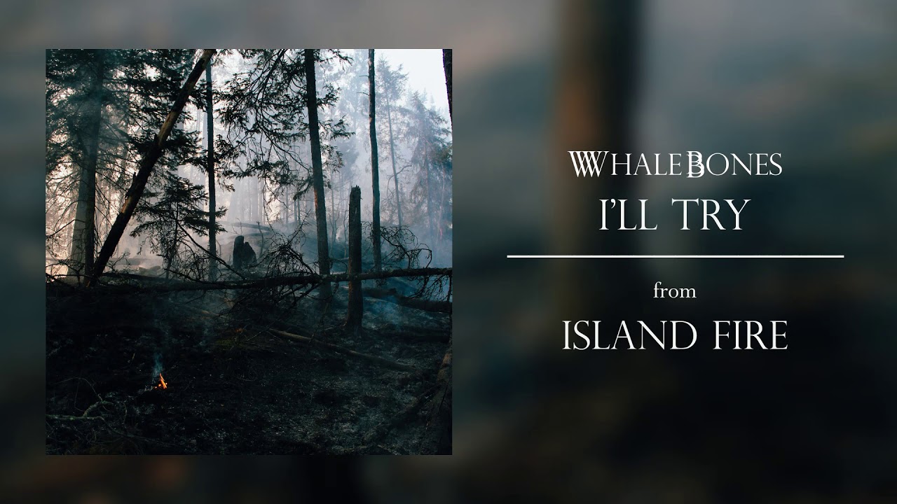 Whale Bones - I'll Try (Audio)