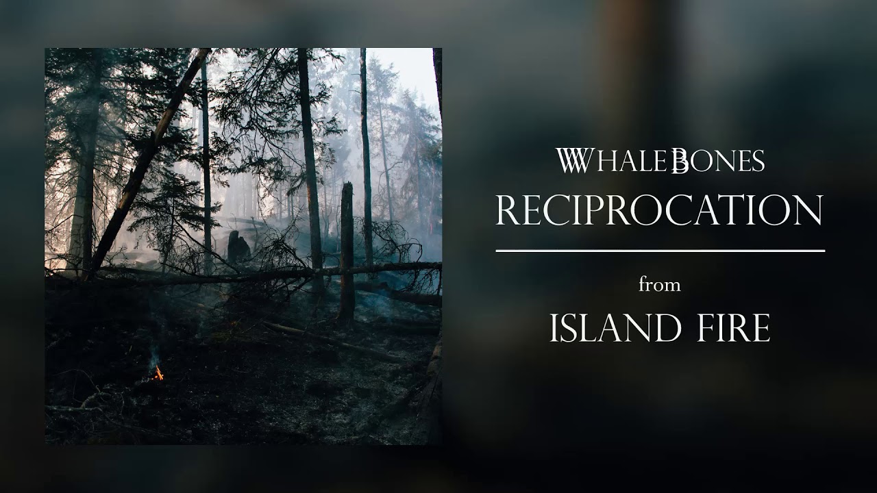 Whale Bones - Reciprocation (Audio)