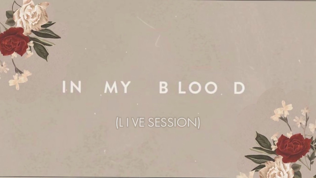 Shawn Mendes "In My Blood" (Live Session) Target Exclusive