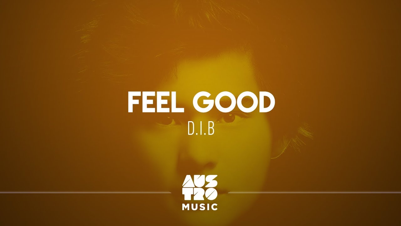 D.I.B - Feel Good